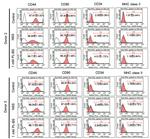 CD44 Antibody in Flow Cytometry (Flow)