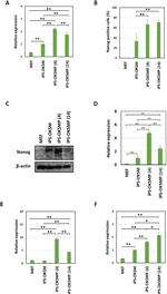 Nanog Antibody in Western Blot (WB)