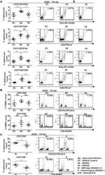 Granzyme B Antibody in Flow Cytometry (Flow)