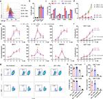 CD14 Antibody in Flow Cytometry (Flow)