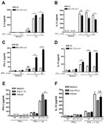 IL-10 Antibody in Neutralization (Neu)