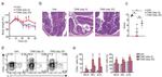 TCR beta Antibody in Flow Cytometry (Flow)