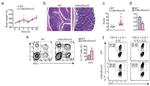 TCR beta Antibody in Flow Cytometry (Flow)