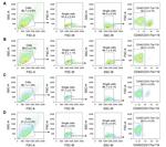 CD31 (PECAM-1) Antibody in Flow Cytometry (Flow)