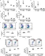 Granzyme B Antibody in Flow Cytometry (Flow)