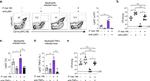 TNF alpha Antibody in Flow Cytometry (Flow)