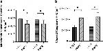 Caspase 9 (Cleaved Asp315) Antibody in Immunocytochemistry (ICC/IF)