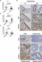 ACE2 Antibody in Immunohistochemistry (IHC)