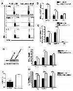 IL-22 Antibody in Neutralization (Neu)