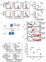 CD45R (B220) Antibody in Flow Cytometry (Flow)