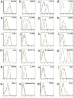 CD24 Antibody in Flow Cytometry (Flow)