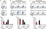 CD31 (PECAM-1) Antibody in Flow Cytometry (Flow)