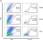 Rabbit IgG (H+L) Cross-Adsorbed Secondary Antibody in Flow Cytometry (Flow)