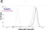 Rabbit IgG (H+L) Highly Cross-Adsorbed Secondary Antibody in Flow Cytometry (Flow)