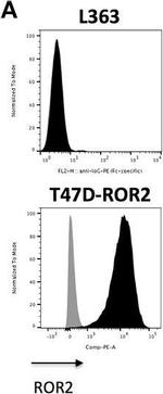 Human IgG Fc Secondary Antibody in Flow Cytometry (Flow)