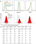 CD80 (B7-1) Antibody in Flow Cytometry (Flow)