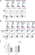 CD28 Antibody in T-Cell Activation (TCA)