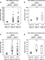 Rabbit IgG Isotype Control in Immunohistochemistry (Paraffin) (IHC (P))