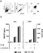 CD8a Antibody in Flow Cytometry (Flow)