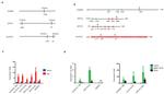 AIRE Antibody in ChIP Assay (ChIP)