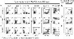 NK1.1 Antibody in Flow Cytometry (Flow)