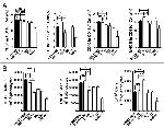 CD80 (B7-1) Antibody in Flow Cytometry (Flow)