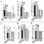 IL-10 Antibody in Flow Cytometry (Flow)