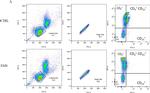 Mouse IgG (H+L) Highly Cross-Adsorbed Secondary Antibody in Flow Cytometry (Flow)