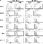 Rat IgG2a kappa Isotype Control in Flow Cytometry (Flow)