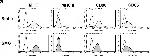 Armenian Hamster IgG Isotype Control in Flow Cytometry (Flow)