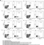 Rat IgG2a kappa Isotype Control in Flow Cytometry (Flow)