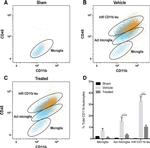 Rat IgG2a kappa Isotype Control in Flow Cytometry (Flow)