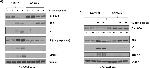 Mouse IgG (H+L) Secondary Antibody in Western Blot (WB)