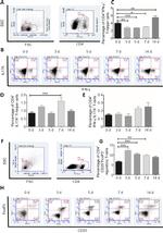 CD4 Antibody in Flow Cytometry (Flow)