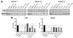 CD284 (TLR4) Antibody in Neutralization (Neu)