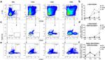 CD117 (c-Kit) Antibody in Flow Cytometry (Flow)