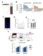 Ly-6G/Ly-6C Antibody in Flow Cytometry (Flow)