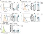 CD360 (IL-21 Receptor) Antibody in Flow Cytometry (Flow)