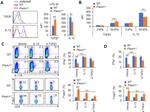 LAP (Latency Associated peptide) Antibody in Flow Cytometry (Flow)