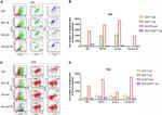 CD4 Antibody in Flow Cytometry (Flow)