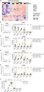 CD197 (CCR7) Antibody in Flow Cytometry (Flow)