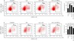 CD11c Antibody in Flow Cytometry (Flow)