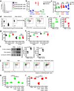 IL-33R (ST2) Antibody in Flow Cytometry (Flow)