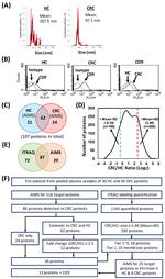 CD9 Antibody in Flow Cytometry (Flow)