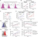 CD10 Antibody in Flow Cytometry (Flow)