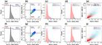 CD11b Antibody in Flow Cytometry (Flow)