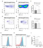 CD206 (MMR) Antibody in Flow Cytometry (Flow)