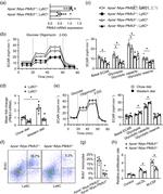 Ly-6C Antibody in Flow Cytometry (Flow)