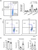 CD16 Antibody in Flow Cytometry (Flow)