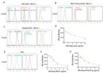 CD20 Antibody in Flow Cytometry (Flow)